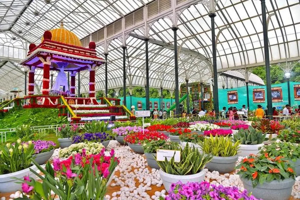 lalbagh flower show flowers