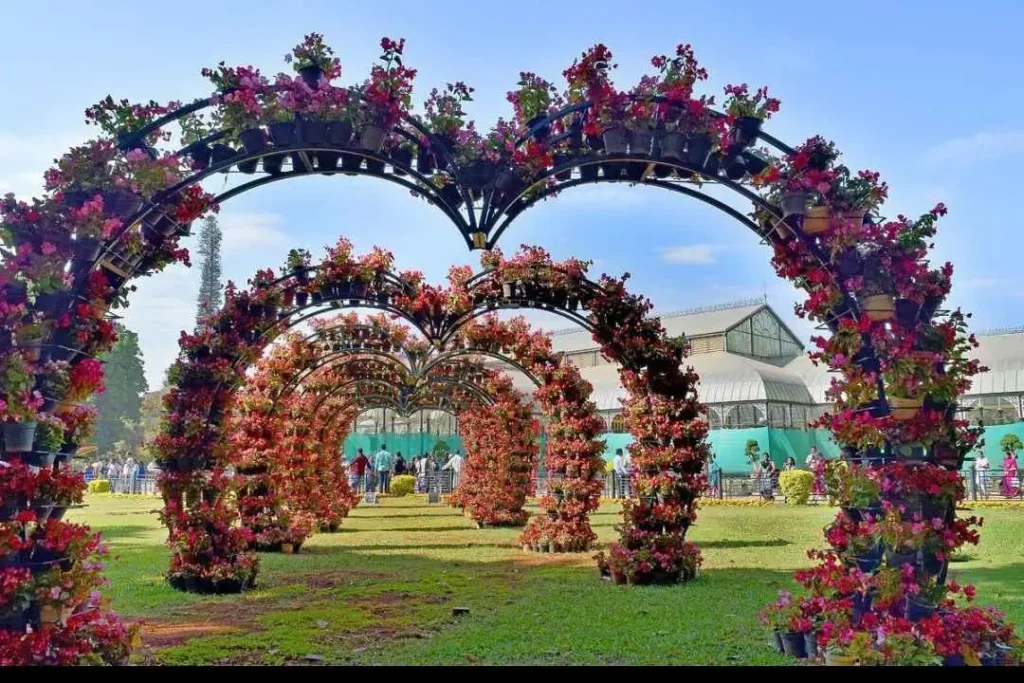 lalbagh flower show