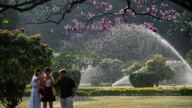 is food allowed in cubbon park