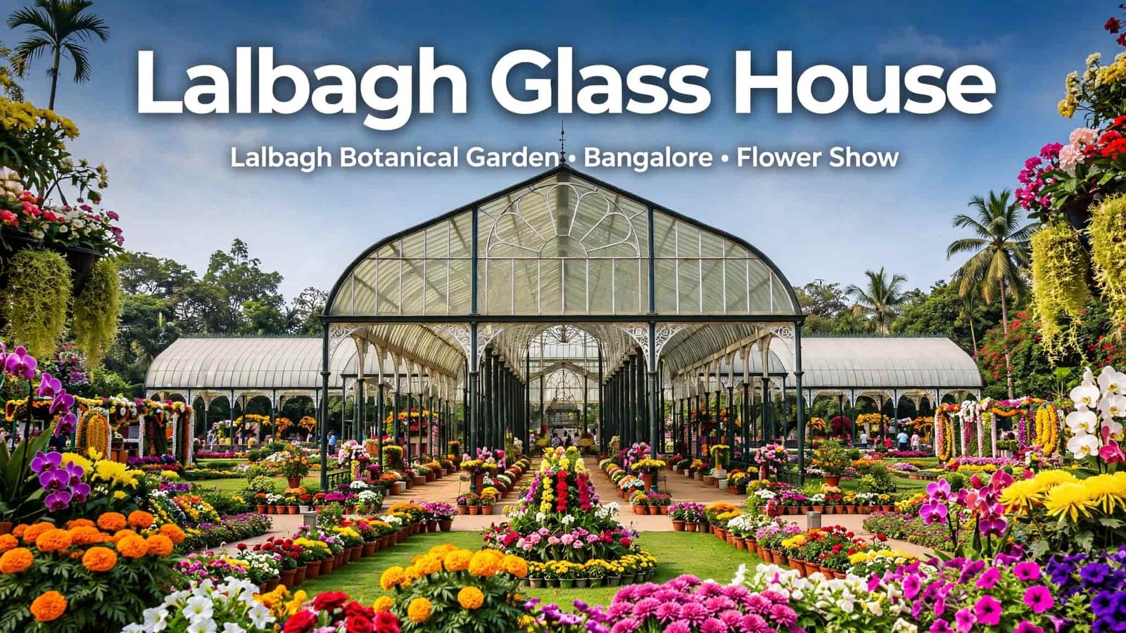 Glass House