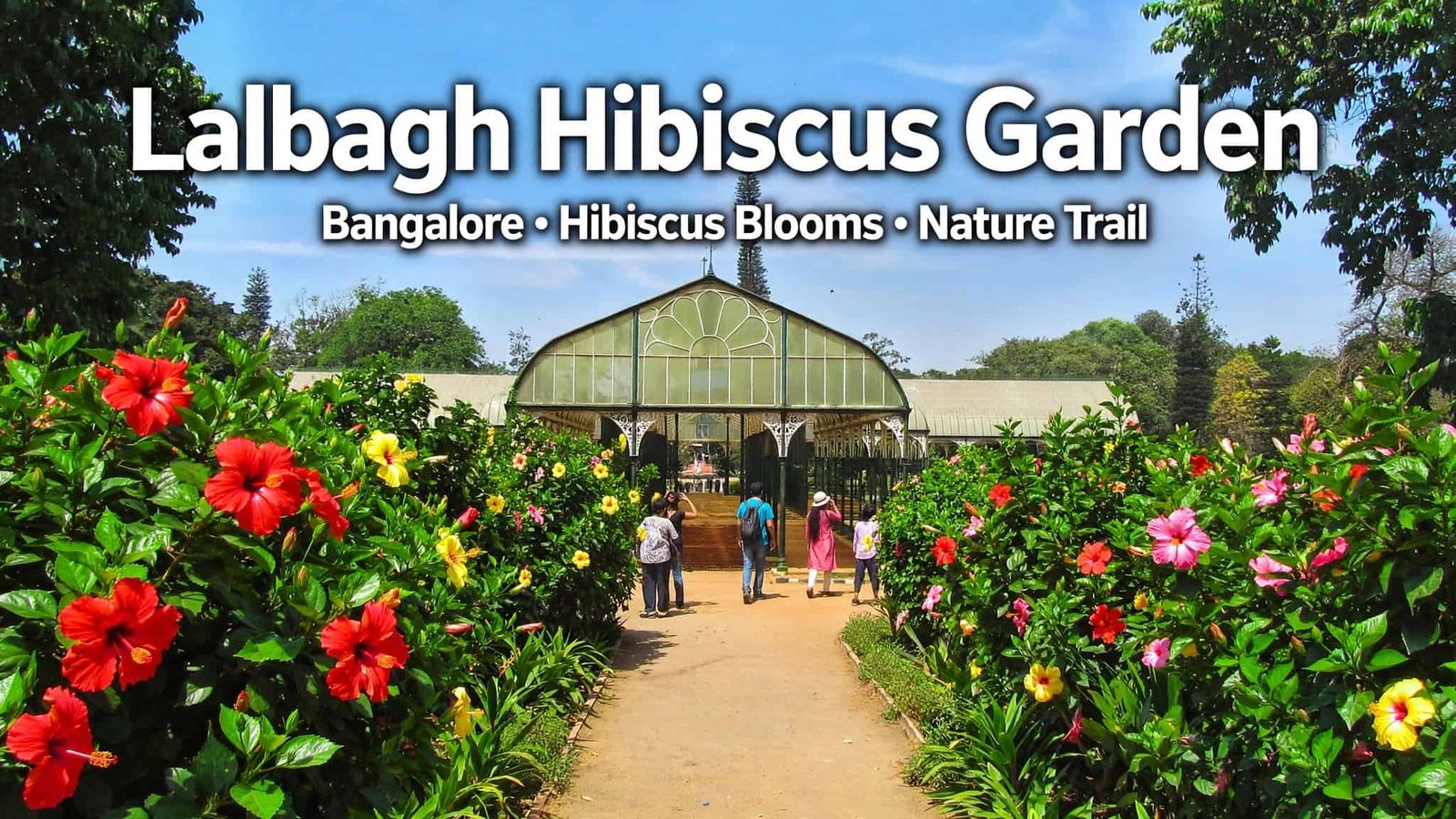 Lalbagh Hibiscus Garden