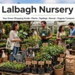 Lalbagh Nursery