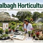 Lalbagh Horticulture