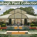 Lalbagh Plant Collections
